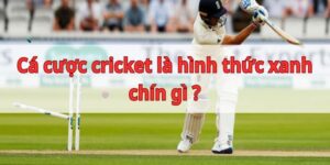 Cá Cược Cricket
